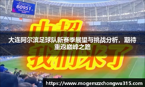 大连阿尔滨足球队新赛季展望与挑战分析，期待重返巅峰之路